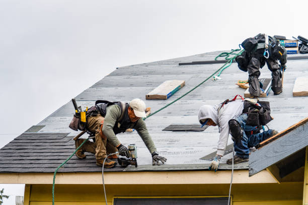 Professional Roof Replacement technician working in West Edmeston, NY